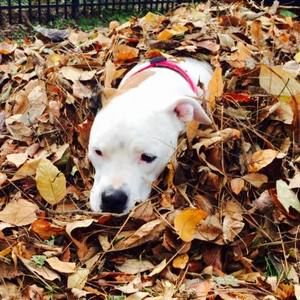 Meet your Posher, Ari